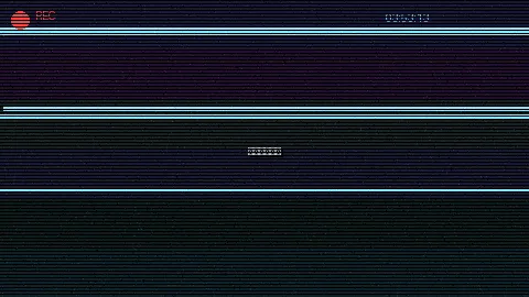 周末随拍记录 - 达达兔在线观看电视 原创视频